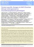 Cover page: Variant-specific changes in RAC3 function disrupt corticogenesis in neurodevelopmental phenotypes.