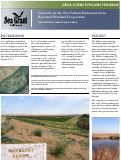 Cover page: Controls on the Net Carbon Emissions from Restored Wetland Ecosystems